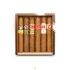 Buy Robustos Cigars Online
