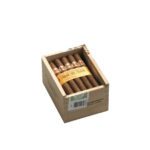 Hoyo de Monterrey Le Hoyo du Maire - Single Hoyo de Monterrey Le Hoyo du Maire