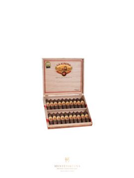 La Aurora 107 Zeppelin – Single