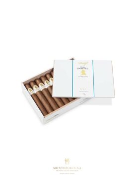 Davidoff Winston Churchill Toro (20)